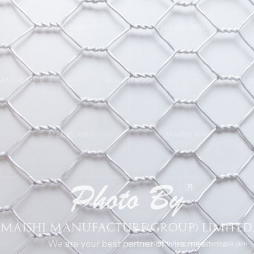 Galvanisé / maille hexagonale de PVC